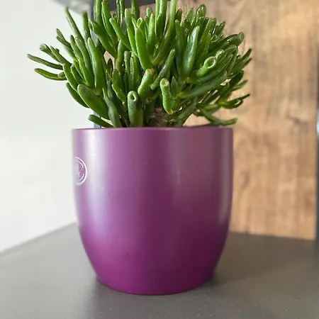 Grandpa Garo Appartement Zadar