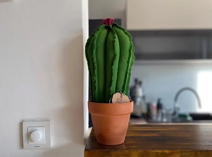 Grandpa Garo Apartamento *